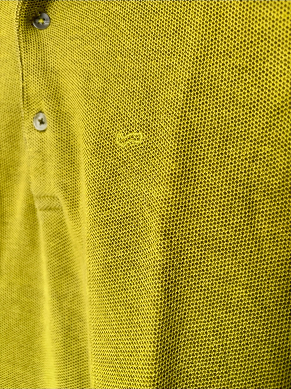 Olive-Tone Polo - Picture 3 of 4
